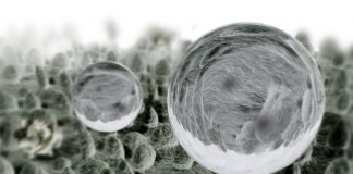OBTENCIÓN DE TEXTILES ANTIMICROBIANOS FUNCIONALIZADOS IN SITU CON NANOPARTÍCULAS DE ÓXIDO DE COBRE POR EL MÉTODO DE AGOTAMIENTO