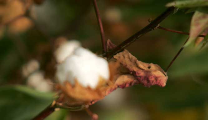 TENDENCIAS: LA INDUSTRIA EN EL PERÚ