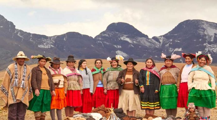 FIBRA EMPRENDEDORA. Un proyecto de arte con sabor a vida