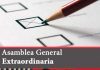 Asamblea General Extraordinaria