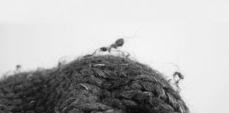 ASPECTO PELUSIENTO EN EL TEJIDO PLANO