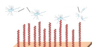 Innovación y sostenibilidad en la industria textil nanotecnología antibacteriana