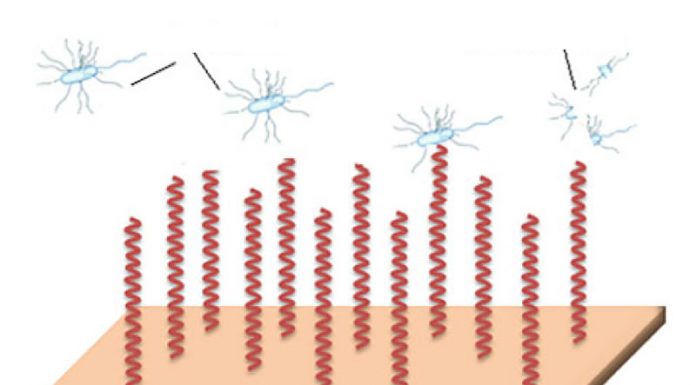 Innovación y sostenibilidad en la industria textil nanotecnología antibacteriana