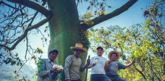 Fibra del ceibo de los bosques secos del perú: un tesoro natural para la industria textil