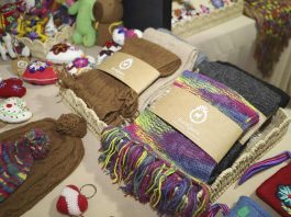 Ecoalpaca prevé crecer más de 30% en el 2026