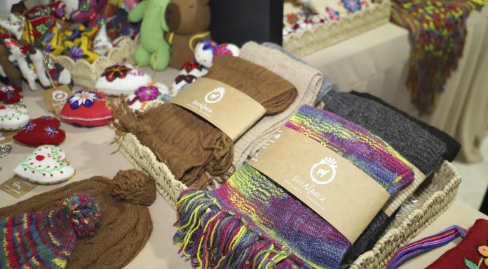 Ecoalpaca prevé crecer más de 30% en el 2026